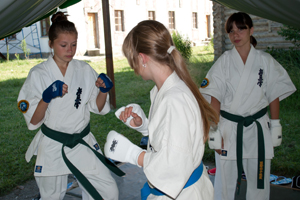 http://karate.vseverske.ru/images/Altai_2011/altai_2011_172.jpg