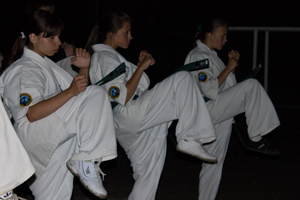 http://karate.vseverske.ru/images/Altai_2011/altai_2011_160.jpg