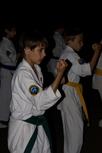 http://karate.vseverske.ru/images/Altai_2011/altai_2011_161.jpg