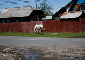 Карате