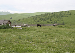 Карате